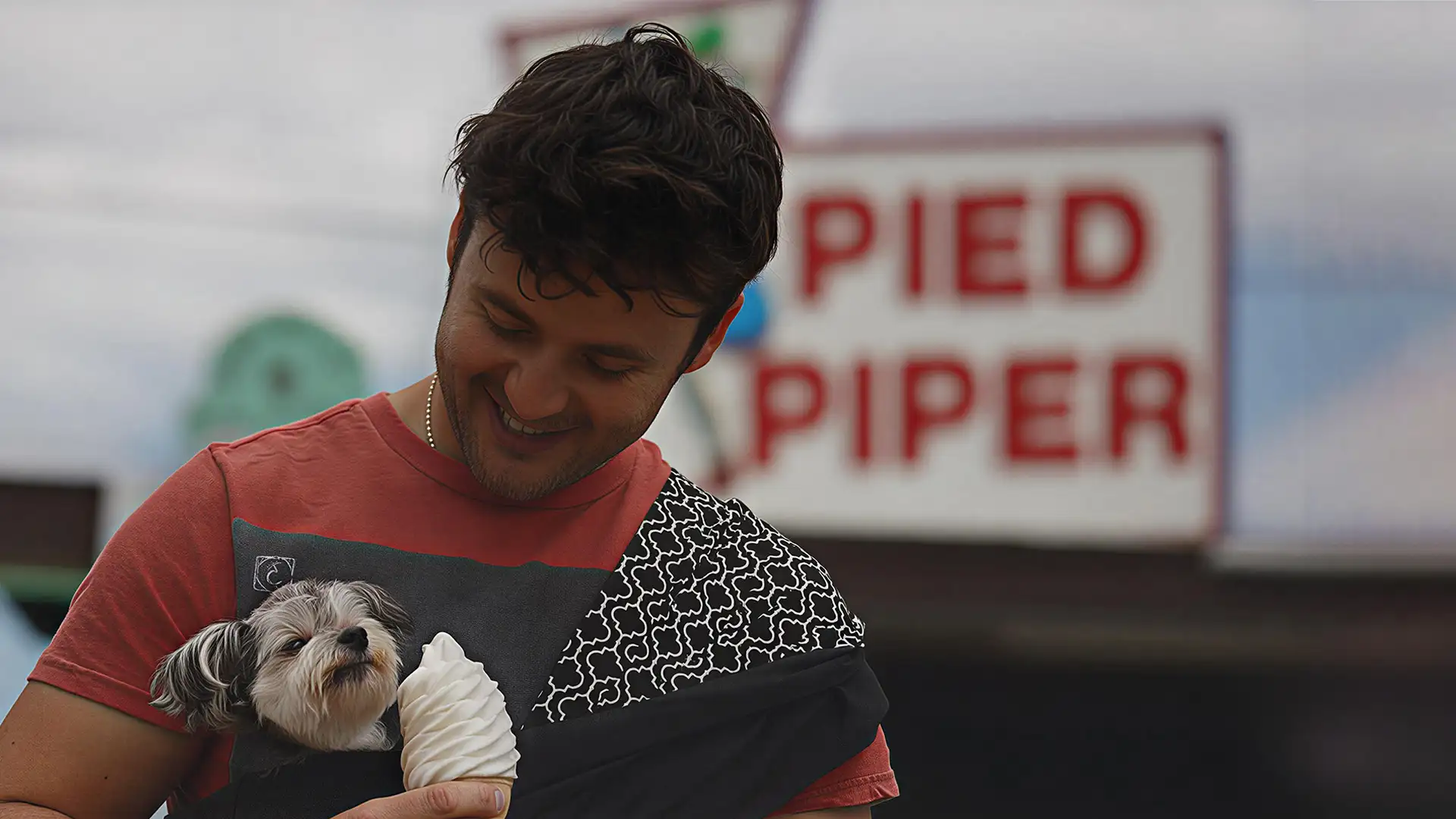 سگ ها در جاده